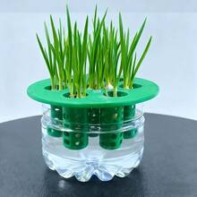 1pc Of Garlic, Green Onion, Home Gardening DIY, Hydroponic Plant, Cultivation 3D Printed Mold - A - View 12