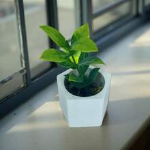 Kit Decorativo - 4 Mini Vasinhos Decorativos com Plantinhas Artificiais - Branco - Visão 6