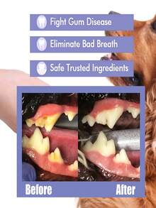 YEGBONG Cat & Dog Teeth Cleaning Spray, Removes Stains & Freshens Breath, Pet Oral Care Spray - Multicolor - View 8