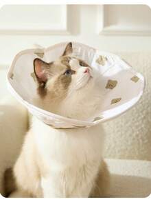 伊丽莎白可爱小熊加深宠物头套，猫咪绝育术后保护罩，防水狗狗颈圈 - 彩色 - 查看 7