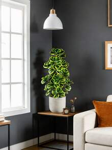 20-37厘米人造心形多肉植物，仿真多肉景观，塑料玉兰叶，绿色拉普兰植物，无盆桌面摆件，适用于家居、办公室、婚礼、新年、生日、毕业典礼等场合，可作为礼物赠送。 - 黃色 - 查看 4