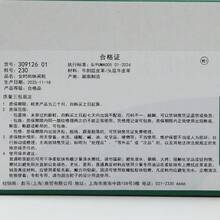 Puma 女士法拉利休闲运动鞋，款式编号：30912601 - 黑色 - 查看 8