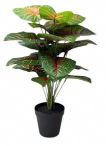 Planta Artificial Alocasia Centro Rojo 54 cm – Follaje Realista con Maceta Moderna en Maceta de plástico, Decoración Para Sala de Estar Decoración de Interior y Exterior - Verde - Ver 9