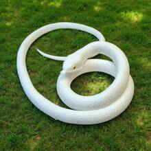逼真橡胶蛇玩具，恐怖眼镜蛇模型，万圣节恶作剧道具，吓人玩具，搞笑礼物，蛇类教育模型 - 彩色 - 查看 9