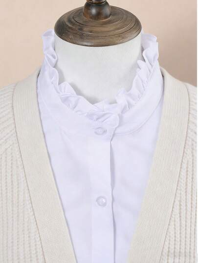 Collared, Round Neck, Pointed Collar, Fake Collar, Fashionable, Versatile, Minimalist, Comfortable Elegant, Commuter And Personalized Fake Collar, Fake Collar, White Collar, Women's Blouse, Fake Collar, Summer Professional Wear, Versatile Style, Autumn Fake Collar