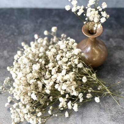 102支迷你干花花束 - 非常适合DIY装饰、花瓶填充、婚礼、家居和办公室装饰、节日派对和贺卡制作，自然优雅风格，持久盛开，婴儿派对礼物，质地细腻