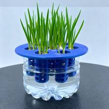 1pc Of Garlic, Green Onion, Home Gardening DIY, Hydroponic Plant, Cultivation 3D Printed Mold - A - View 2