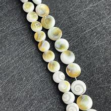 1 Strand 8/10mm Natural Freshwater Shell Conch Shell Round Threaded Beads Jewelry Making DIY Necklace Bracelet Earrings Accessories Wedding - Multicolor - View 6