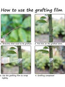 Grafting Tape, Stretchable Gardening Grafting Tape, Plant Repair Grafting Tape, Fruit Tree Grafting Tape, Plant Grafting Film Gardening Tape, Tree Bandage Repair Tape, Petri Dish, Nursery - Grafting Membrane - View 9