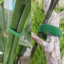 Self-Adhesive Nylon Plant Ties, Adjustable Green Plant Hooks Rope Supports, Reusable Garden Binding Straps - Multicolor - View 5