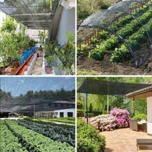 黑色遮阳网，防紫外线遮阳网，透气，适用于庭院、农场、宠物屋、凉亭、露台、植物隔热网、阳台、车库、后院、游泳池、草坪、墙壁、户外活动、隐私屏风、围栏、遮阳棚、户外凉亭、遮阳篷、农业温室（仅含遮阳网） - A - 查看 3