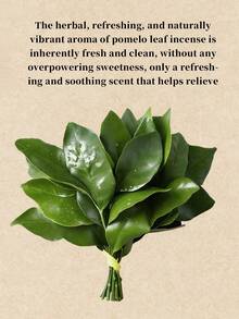 20g, Grapefruit Leaf Incense Sticks, Naturally Fresh, With A Pleasant Grapefruit Leaf Fragrance That Lasts A Long Time. Made With Natural Ingredients, They Provide Energy And Purify The Air. Perfect For Entertaining Guests, And Ramadan. - Pomelo Leaf Incense - View 5