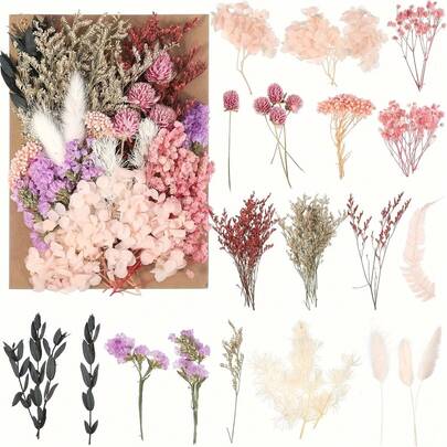 1包天然干花，布鲁曼DIY混合干花，适用于树脂、环氧树脂、DIY蜡烛树脂、珠宝、美甲、剪贴簿、工艺品、树脂工艺品、珠宝制作、手工艺品、植物装饰、鲜花保鲜、高品质干花、DIY花艺材料、工艺爱好者、树脂艺术家