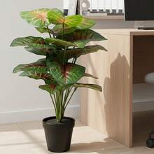 Planta Artificial Alocasia Centro Rojo 54 cm – Follaje Realista con Maceta Moderna en Maceta de plástico, Decoración Para Sala de Estar Decoración de Interior y Exterior - Verde - Ver 6