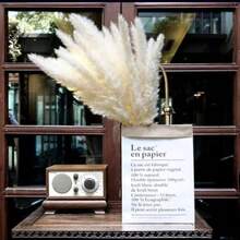 15/30/45/60 Peças, Grama Pampa, Junco Branco Pequeno, Grama Pampa, Aproximadamente 45 cm Ramos de Grama Pampa Seca Natural, Adequado para Casa, Cozinha, Jardim, Festa, Decoração Doméstica e Presentes, Decoração Doméstica Estilo Boêmio, Arranjo Floral DIY, Adereços de Fotografia - Branco - Visão 2