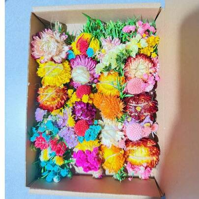 4pcs Large Cedar Wood Sticks, Suitable For Hydrangea, Chrysanthemum Etc., Approx. 15cm/5.9in Length, Can Be Used For Smoke Control, Home Cleaning, Furniture Decoration, Holiday Decoration, Handmade DIY (Random Multi-Color Delivery)