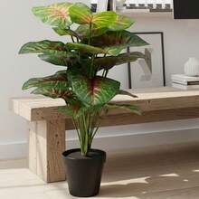 Planta Artificial Alocasia Centro Rojo 54 cm – Follaje Realista con Maceta Moderna en Maceta de plástico, Decoración Para Sala de Estar Decoración de Interior y Exterior - Verde - Ver 7
