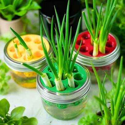 1pc Of Garlic, Green Onion, Home Gardening DIY, Hydroponic Plant, Cultivation 3D Printed Mold