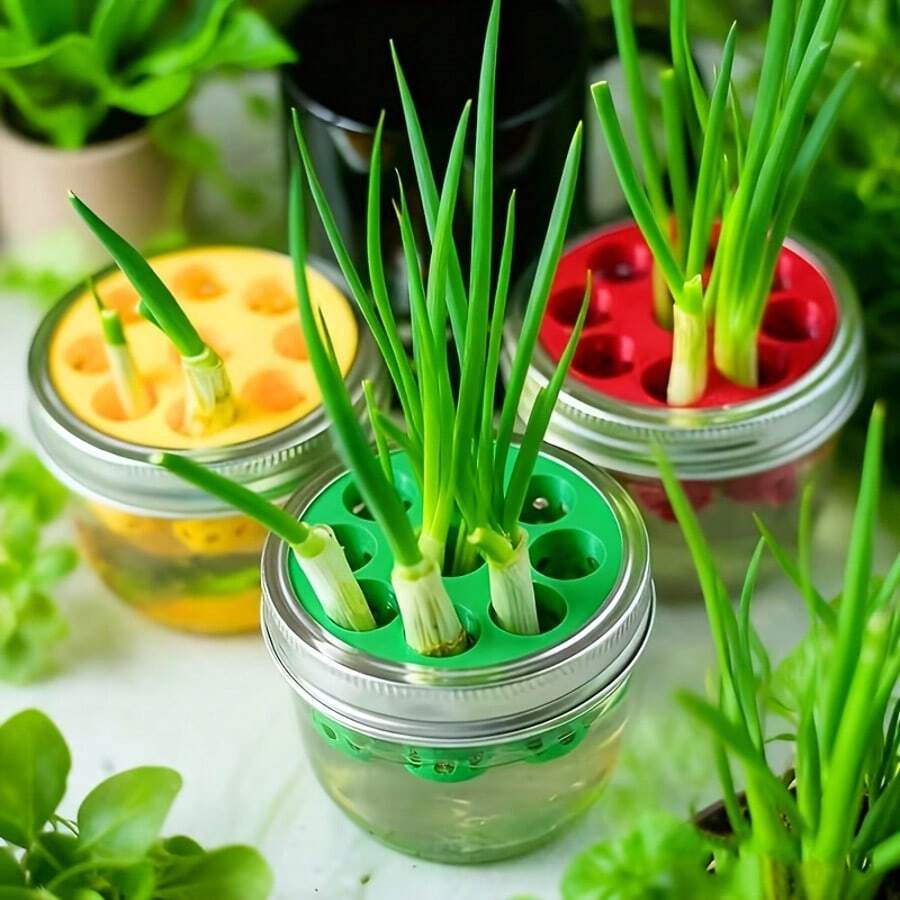 1pc Of Garlic, Green Onion, Home Gardening DIY, Hydroponic Plant, Cultivation 3D Printed Mold - A - View 1