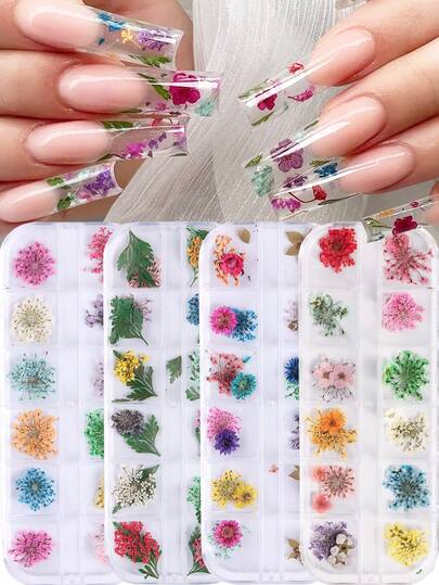 Bộ trang trí móng tay giả hình hoa cúc và hoa baby's breath đầy màu sắc mùa hè, lá và hoa baby's breath nhân tạo 3D trang trí móng tay thanh lịch, phụ kiện làm móng mùa xuân/hè tự làm.