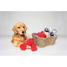Dog Toy Basket, Bone Shaped Dog Toy Bin, Handmade Pet Organizer And Storage, Toy Box For Cats, (17x13 Seagrass) - 中號(17x13吋) - 查看 4