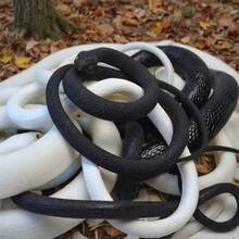 逼真橡胶蛇玩具，恐怖眼镜蛇模型，万圣节恶作剧道具，吓人玩具，搞笑礼物，蛇类教育模型 - 彩色 - 查看 4