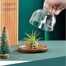 Glass Dessert Dome With Wooden Base, Mini Cake Stand, Wooden Cake Plate With Dome, Kitchen Fruit Display Tray, Suitable For Wedding, Appetizer Sweets And Cheese Serving - Clear - View 6