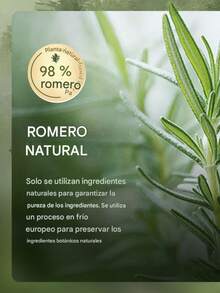 Shampoos & Conditioners - Rosemary Shampoo - View 3