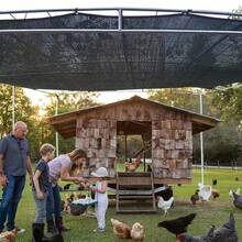 黑色遮阳网，防紫外线遮阳网，透气，适用于庭院、农场、宠物屋、凉亭、露台、植物隔热网、阳台、车库、后院、游泳池、草坪、墙壁、户外活动、隐私屏风、围栏、遮阳棚、户外凉亭、遮阳篷、农业温室（仅含遮阳网） - A - 查看 5