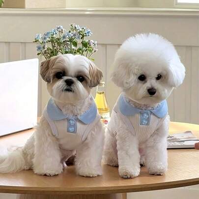 透气轻薄狗狗T恤，适合吉娃娃等小型和中型犬，宠物服装及配饰，舒适凉爽