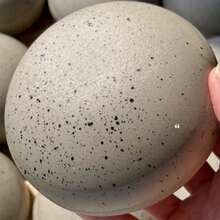 1个奶油吐司造型挤压玩具 - 解压玩具 - 挤压玩具 - 软萌玩具 - 捏捏乐玩具 - 指尖玩具 - 史迪奇玩具 - 旅行玩具 - 课堂指尖玩具 - 迷你洗澡玩具 - 圣诞文具减压球，生日礼物，完美礼物，赠品，玩具，游戏 - 彩色 - 查看 11