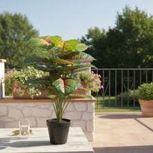 Planta Artificial Alocasia Centro Rojo 54 cm – Follaje Realista con Maceta Moderna en Maceta de plástico, Decoración Para Sala de Estar Decoración de Interior y Exterior - Verde - Ver 8