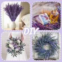 Natural Air-Dried Lavender, Fresh And Natural, Sleep Aid And Calming, Long-Lasting Fragrance, French Style Lavender Bouquet, Bedroom Fragrance And Stress Relief, Handpicked Lavender Dried Flower Gift Box, Gift Yourself Some Serenity. - Multicolor - View 10