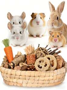 100克天然苹果木条，手工编织球，苹果木块笼挂件，仓鼠磨牙玩具套装，适用于仓鼠、兔子、豚鼠和其他宠物 - 彩色 - 查看 1