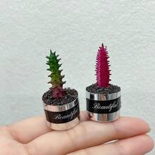 Conjunto de 6 Miniaturas de Suculentas em Vasos, Plantas Suculentas Artificiais, Miniaturas de Plantas em Vasos para Decoração, Ornamentos Decorativos, Decoração para Jardim e Quintal, Micro Paisagismo com Plantas Verdes - Multicolorido - Ver 15