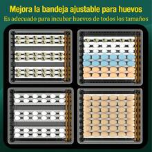 Máquina Incubadora Automática 120 Huevos Doble Energía | Uso Doméstico Granja | Incubadora Eficaz | Estable Funcional - Multicolor - Ver 8