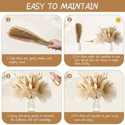 1束蒲苇草花束，兔尾草，春夏家居园艺装饰，天然植物花束，适合插花、婚礼、新娘捧花、周年纪念礼物、家居/办公室装饰、派对、节日花艺、摄影道具、DIY花艺