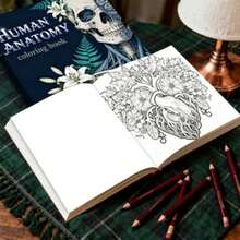 1 Pc 7.87 X 7.87 Inch Adult Coloring Book - Human Anatomy Theme, Help You Relax, Great Gift For Adult Holidays And Birthdays - Human Body Coloring Book - View 6