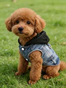 1pc New Hooded Harness Vest, Suitable For Small Dogs Like Poodle, Bichon Frise, Teddy, Spring/Autumn Pet Clothes - Black - View 6