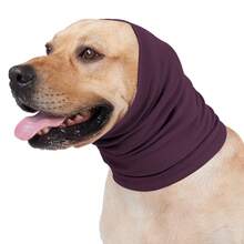 Soothing Dog Neck Wrap, Elastic Mild Compression, Won't Slip - Purple - View 5