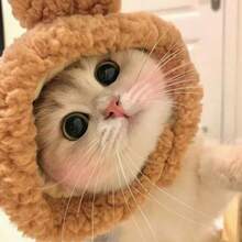 1件兔耳猫咪帽子，可爱主题宠物服装，针织面料，适合猫狗，舒适材质，可机洗，涤纶宠物头饰，适合猫狗角色扮演和摄影，适合玩具、小型犬、猫咪宠物摄影 - 彩色 - 查看 4