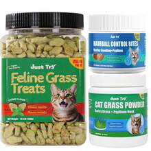 JUST TRY 13.4 OZ Cat Grass Treats Natural Salmon Flavor Healthy Cat Snacks Training Biscuits Catnip For Cats Dental And Hairball Control Treats Remedy Chews - 解決毛球症的方法 - 查看 9