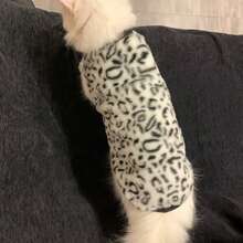 1件猫咪衣服，仿兔毛，单面抓绒，适合猫咪秋冬季节穿着，保暖、防寒、防冻、防掉毛，宠物无袖背心 - 白色 - 查看 3