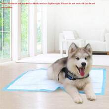 10pcs Super Absorbent Dog Pee Pads, Disposable Leak-Proof Odor Control Pet Training Pads, Pet Cleaning Supplies - Blue and White - View 3