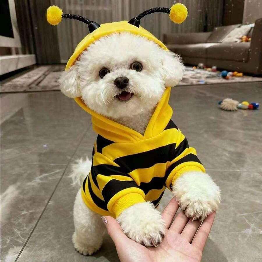 1pc Pet Hoodie, Cute Bee Design, Funny Transformation Sweatshirt For Small Cats & Dogs, Autumn/Winter Pet Clothing With Hood To Prevent Shedding - Yellow - View 1