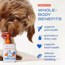 Native Pet Omega 3 Fish Oil For Dogs &Amp; Cats - Promotes Healthy Skin, Shiny Coat, &Amp; Strong Joints - Made With Wild Alaskan Salmon Oil For Dogs \U2013 Tasty, Fast-Absorbing Omega 3 6 9 Liquid Supplement- 8oz - ColorA - 查看 2