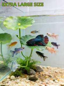 1个斗鱼叶子吊床，超宽鱼缸植物装饰和休息床，水族箱装饰人造叶子，改善斗鱼健康 - 天然、有机、舒适的鱼缸休息区 - B - 查看 2