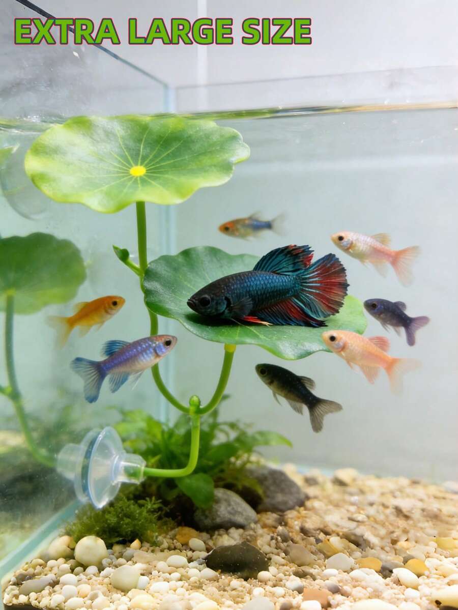 1个斗鱼叶子吊床，超宽鱼缸植物装饰和休息床，水族箱装饰人造叶子，改善斗鱼健康 - 天然、有机、舒适的鱼缸休息区