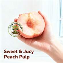 New Arrival Dwarf Live Honey Peach Tree Seedling - Cold-Tolerant With Well-Developed Root System, Easy To Grow & Maintain, Beginner-Friendly For Outdoor Courtyard And Compact Home Garden Planting - C - View 6