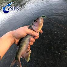 4/8pcs Fly Fishing Flies Kit -Realistic Fly Baits Mix Design, Perfect Fishing Gift For Angler - Multicolor - View 12